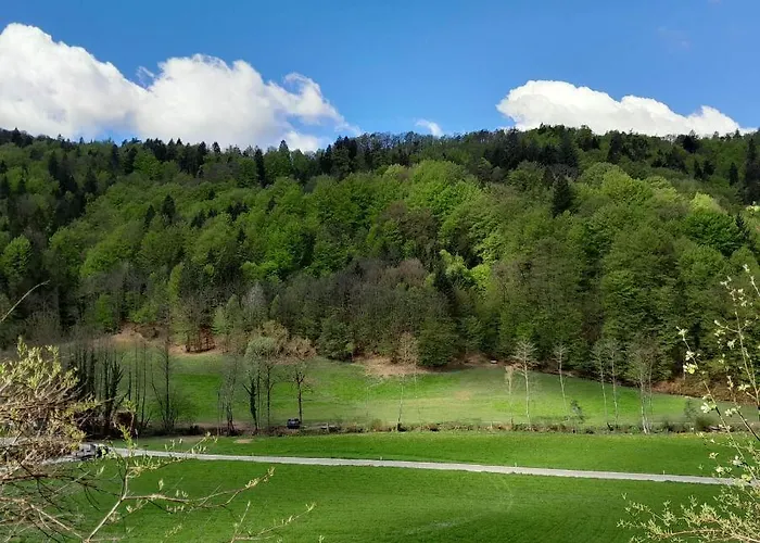 Daire Near By Capital Of Slovenia Ljubljana