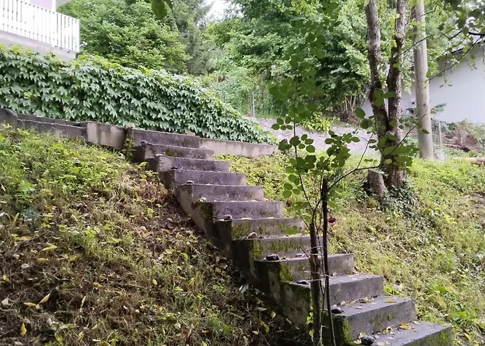 Near By Capital Of Slovenia *